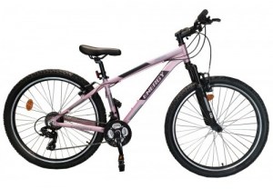 Energy Enigma 27,5" Γυναικείο - Pink/Grey DRIMALASBIKES_product