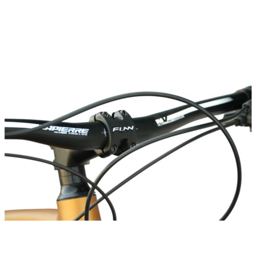 ENIGMA_29_PRO_CARAMEL2