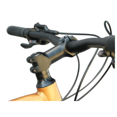 ENIGMA_29_PRO_CARAMEL3