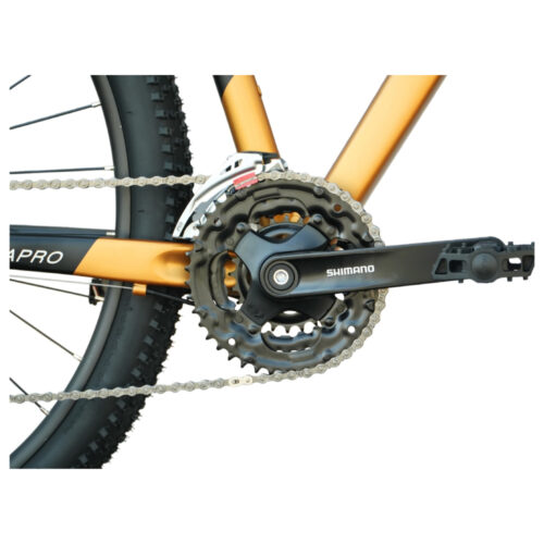 ENIGMA_29_PRO_CARAMEL4