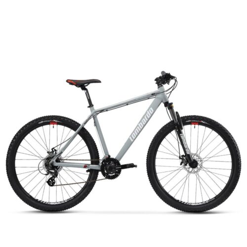 SESTRIERE-300-SILVER