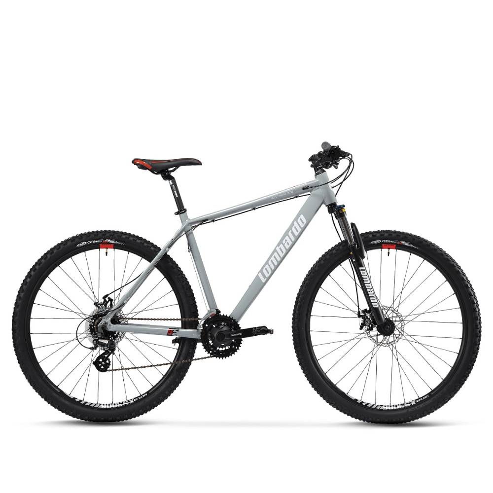 SESTRIERE-300-SILVER